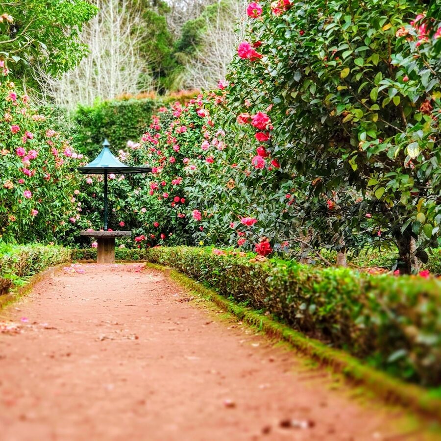 Construction Project 1